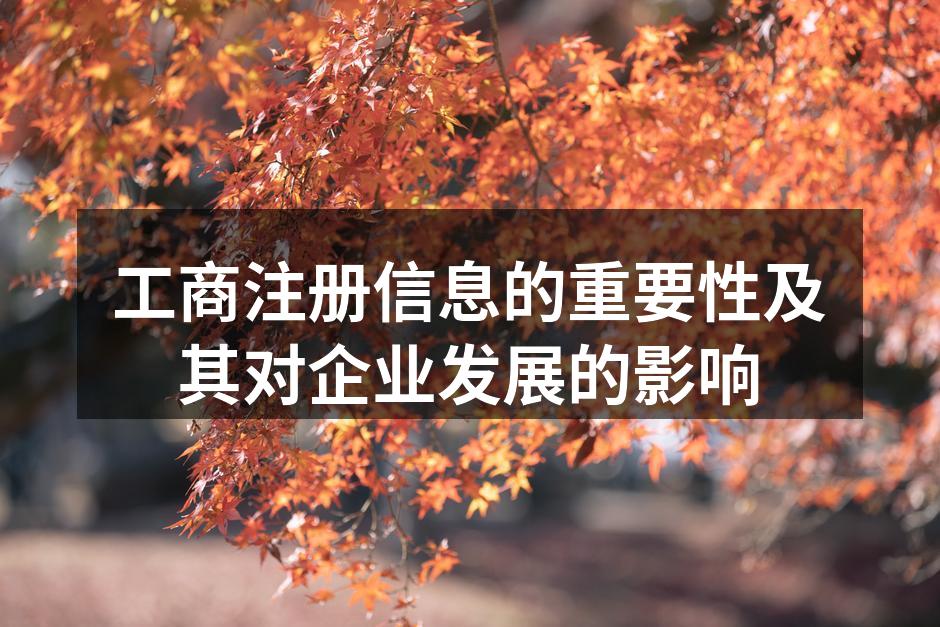工商注册信息样本