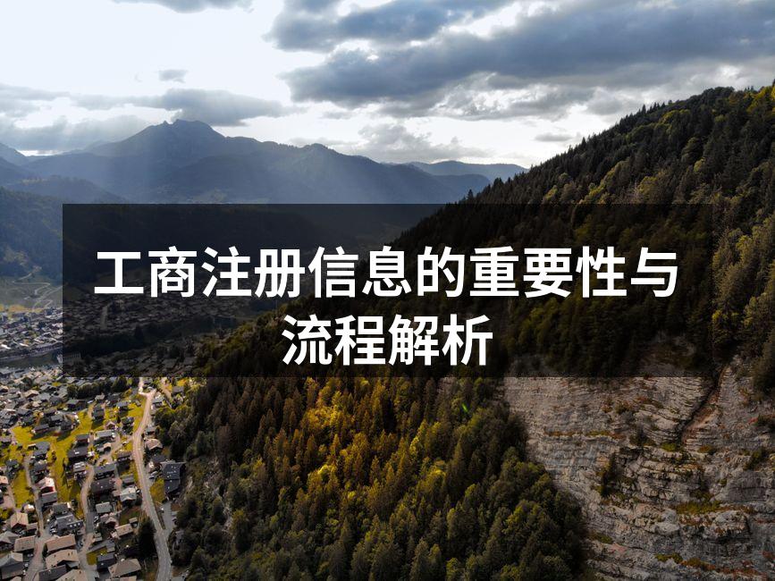 工商注册流程示意图