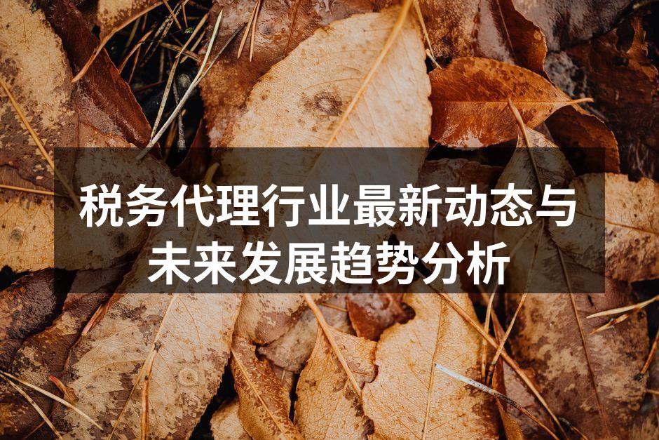 税务代理服务场景