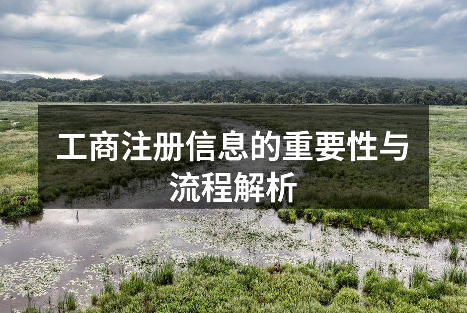工商注册流程图示